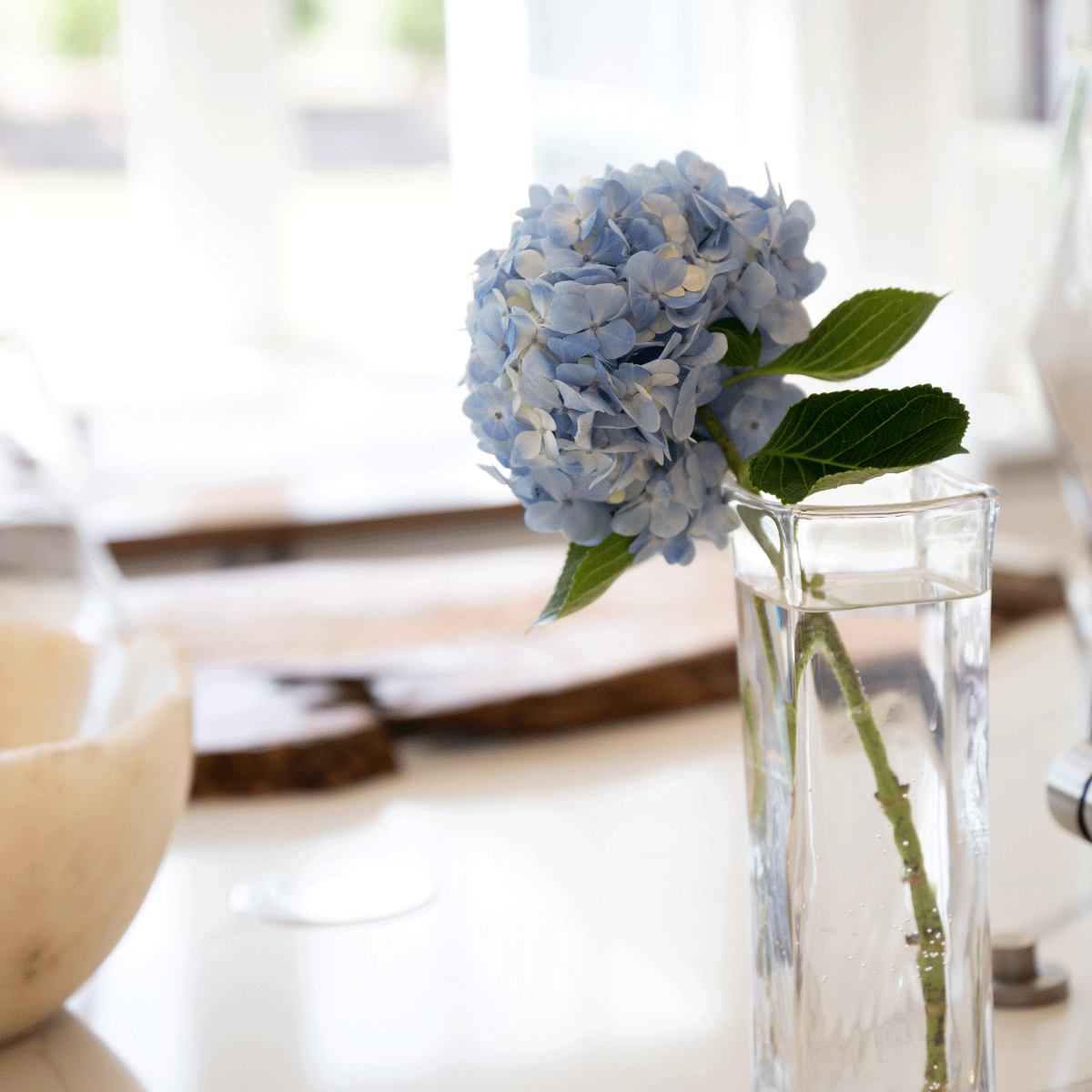 A single blue hydrangea in a glass vase on a wooden counter, morning light.
